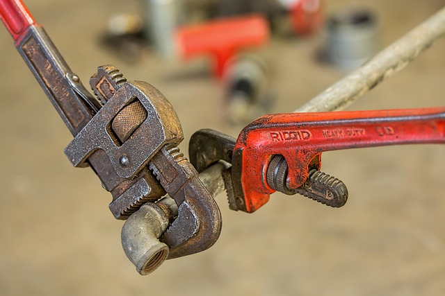 davidson plumbing emergency plumber flagstaff